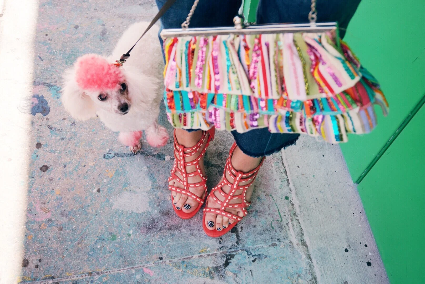 Designer, Blogger, Fashion, Design, Travel