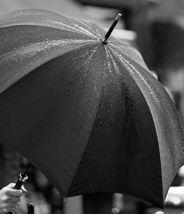black umbrella