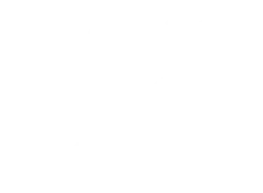 Palm Tree With Birds And Clouds