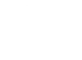Passport