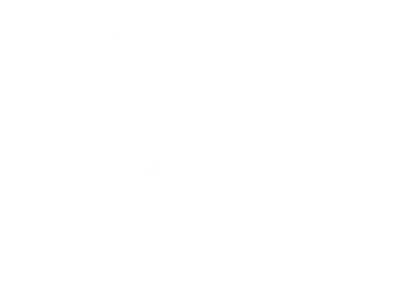 White Silhouette Of A Pineapple