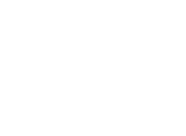 White Ship&Amp;Apos;S Steering Wheel Icon